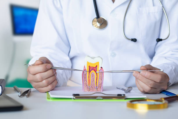 Best Emergency Root Canal Treatment in Clayton, IN